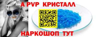 спайс Кингисепп
