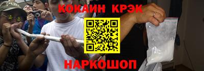 спайс Кингисепп