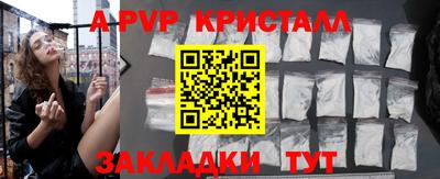 спайс Кингисепп