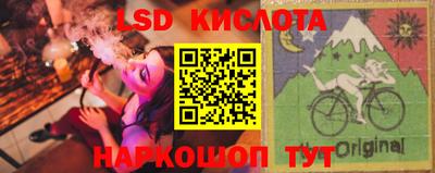 спайс Кингисепп