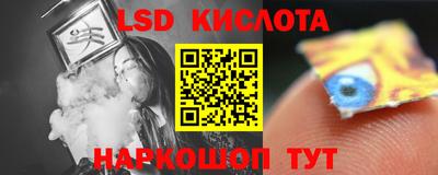 спайс Кингисепп