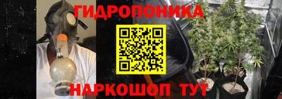 гидра Кимры