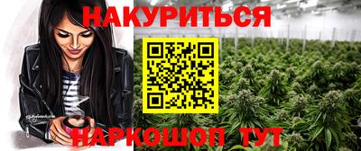 спайс Кингисепп