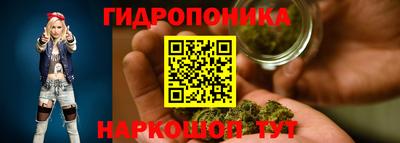 спайс Кингисепп