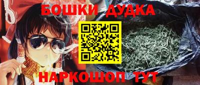 спайс Кингисепп