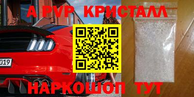 спайс Кингисепп