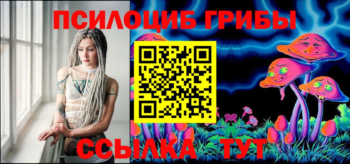 Горно-Алтайск  цены   Вход с VPN  Псилоцибиновые грибы Cubensis 